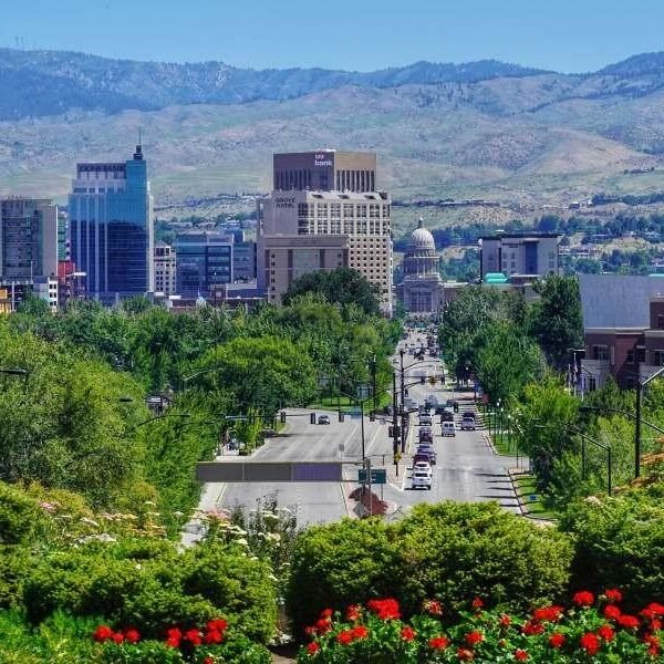 NAEGELI Deposition & Trial