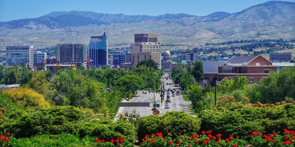 NAEGELI Deposition & Trial